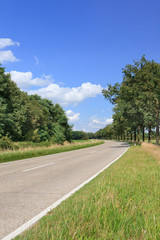 Fototapeta na wymiar Country road in a green summery environment, Brabant Province, Netherlands