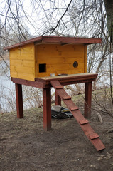 cat wooden house