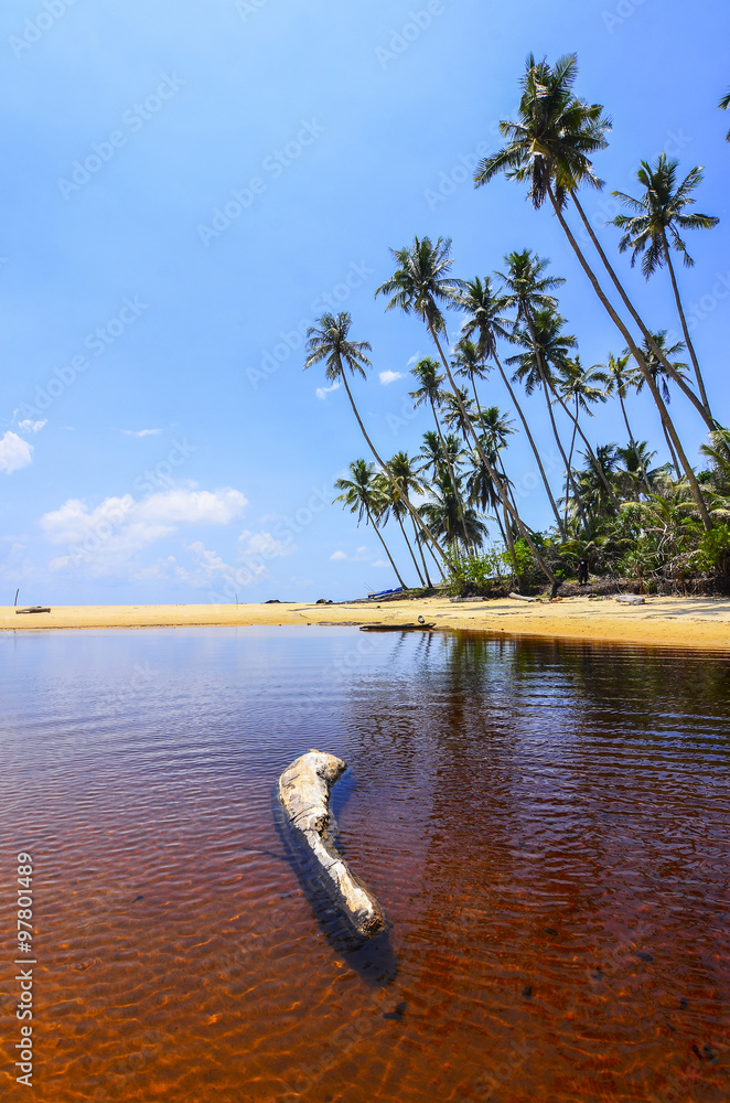 Sticker beautiful beach scenic with coconut tree and blue sky.