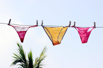 Assorted sexy lingerie hanging on a clothesline.