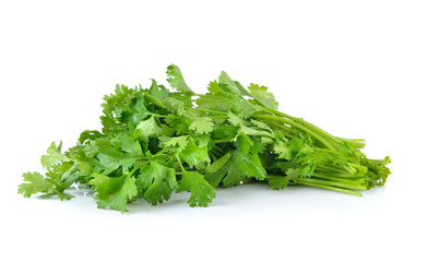Fototapeta premium coriander on white background