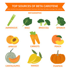 top sources of beta carotene, food info graphic, vector