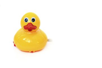 Yellow rubber duck on White Background
