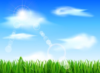 Obraz premium Green grass and blue sky