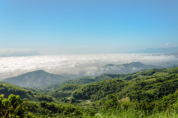 Fototapeta premium Natural landscape of mountains and sea of mist in the winter season,Thailand