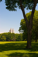 Fototapeta na wymiar Empty Central park in the morning, New York