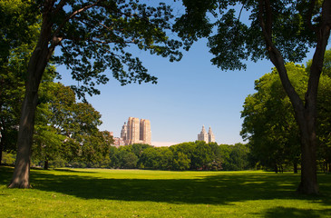 Obraz premium Empty Central park in the morning, New York