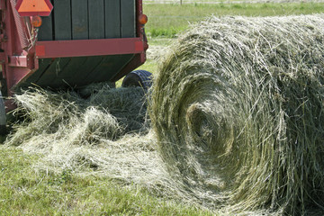 Broken Round Bale – A broken round bale lies behind the tractor pulling the hay baler.