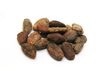 fèves de cacao 10122015