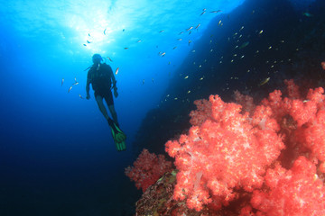 Scuba divers exploring coral reef underwater in ocean