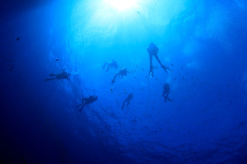 Fototapeta na wymiar Scuba diving in ocean
