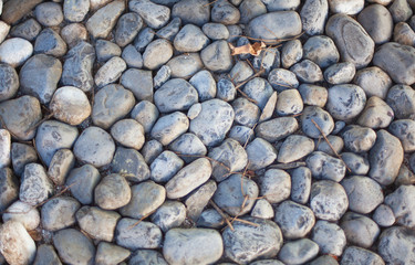 Pavement pebbles