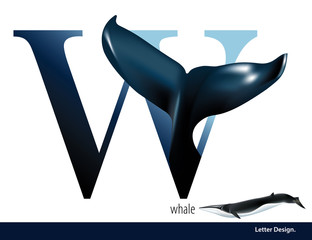 Naklejka premium Vector illustration of Letter W is Whale alphabet. English abc 