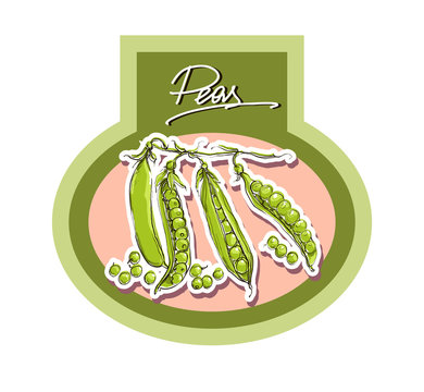 Vector illustration set of green peas