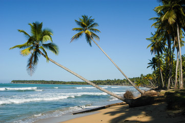Caribbean beach of playa bonita at Las Terrenas