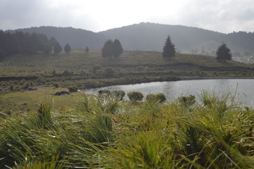 fotografía montañas, lago y bosque