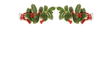 Christmas decoration with holly