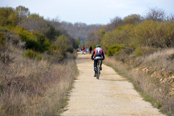 Fototapeta premium ruta ciclista por el monte