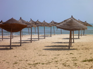 empty beach with straw umbrellas