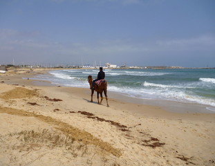 a man riding on a camel on an empty beach