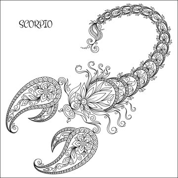 Hand drawn pattern for coloring book zodiac Scorpio.