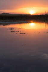 beautiful sunrise of the sun on the lake