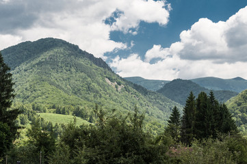 Fototapeta na wymiar forest covered mountains view