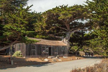 Fototapeta premium Cabin in the Woods