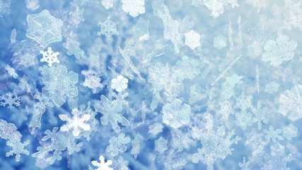Foto op Aluminium Christmas snowflakes falling 10599 © A Luna Blue