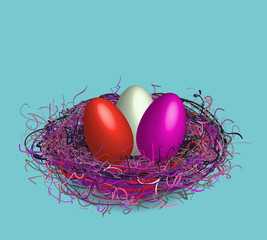 Fototapeta premium Birds nest 
