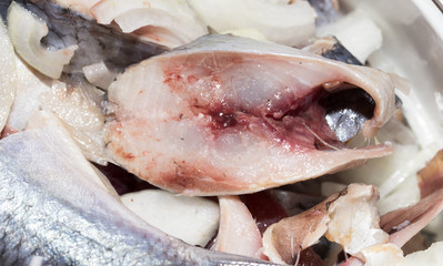 sliced herring with onions in a dish