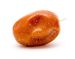Eleagnus on a white background
