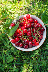 Sweet cherries on the plate in the grass, top view