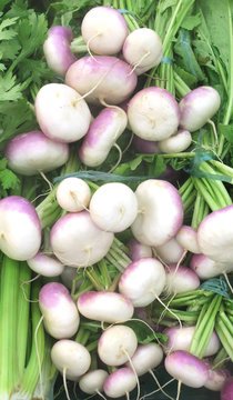 navets
