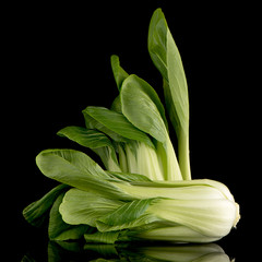 Pak choi on black