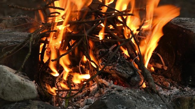 Campfire burning. Fireplace, branches in a fire.