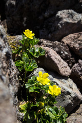 Tongariro crossing New Zealand unesco site national park