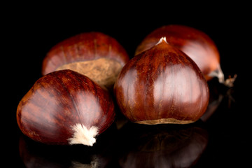 Chestnuts on a black reflective background