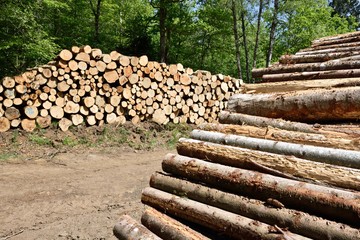 Stock de grumes