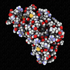 Human prion protein (hPrP), chemical structure. 