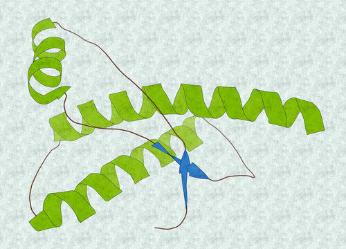 Human Prion Protein (hPrP), Chemical Structure.