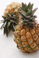 dwarf mini pineapple