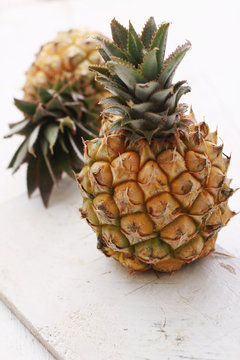 dwarf mini pineapple