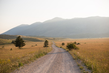 Road in field with ripe yellow wheat