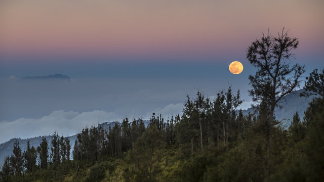 Moon above the forest, East Java, Indonesia