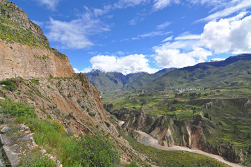 Fototapeta na wymiar Terraced field, Colca Canyon, Peru 