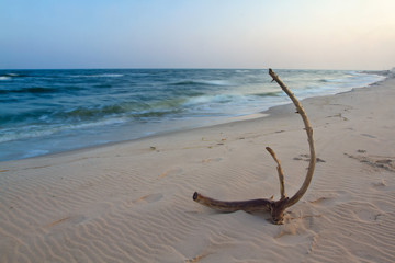 each landscape at the Baltic sea, Poland.