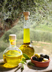 Olivenöl im Olivenhain