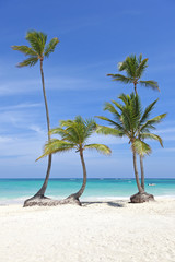 Caribbean beach Dominican Republic