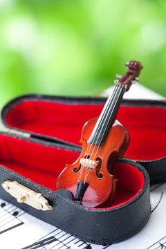 バイオリン 緑の背景